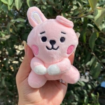 keychain cooky3