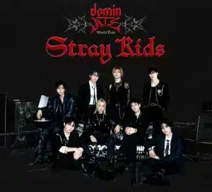 Stray Kids